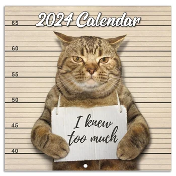 Настенный календарь на 2024 год Январь 2024 - декабрь 2024, настенный календарь с забавным котом в подарок